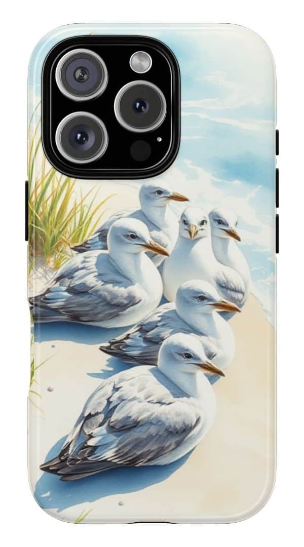 A picture of Breezy Habitats