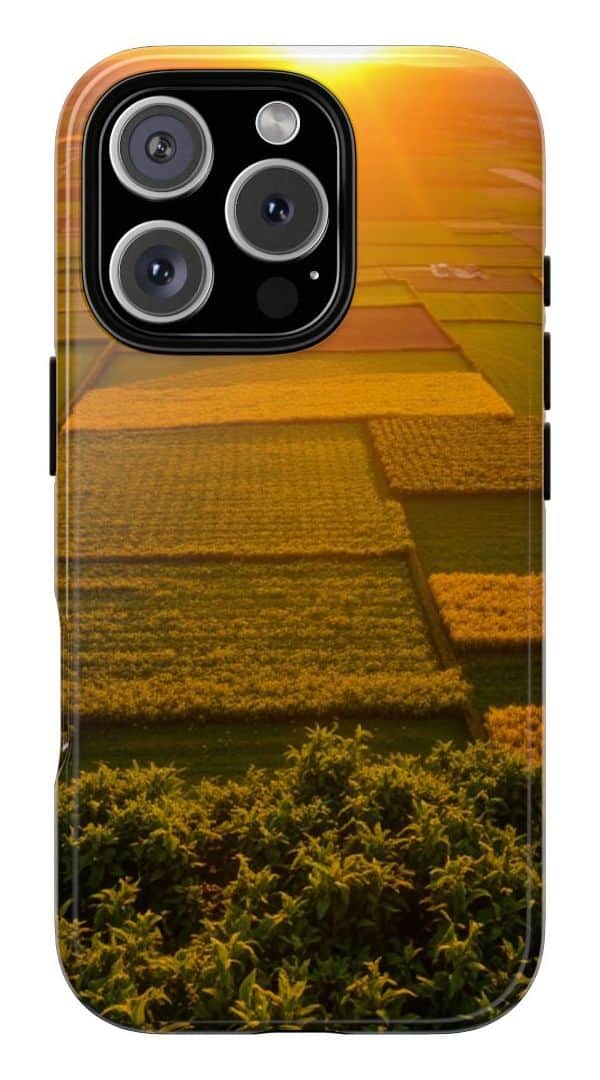 A picture of Patchwork Horizon